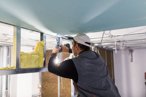 Best Insulation Maintenance and Repair in Rion Center, MA