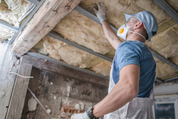Best Eco-Friendly Insulation in Rion Center, MA